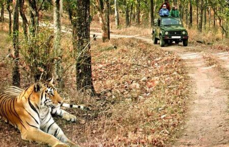 4-Day Agra Ranthambore Jaipur Tour