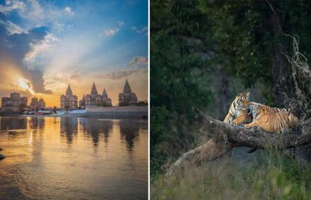 Central India Temples and Wildlife Tour with the Taj