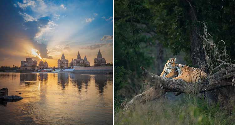 Central India Temples and Wildlife Tour with the Taj